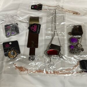 Paparazzi (lot of 11) necklaces and earrings.